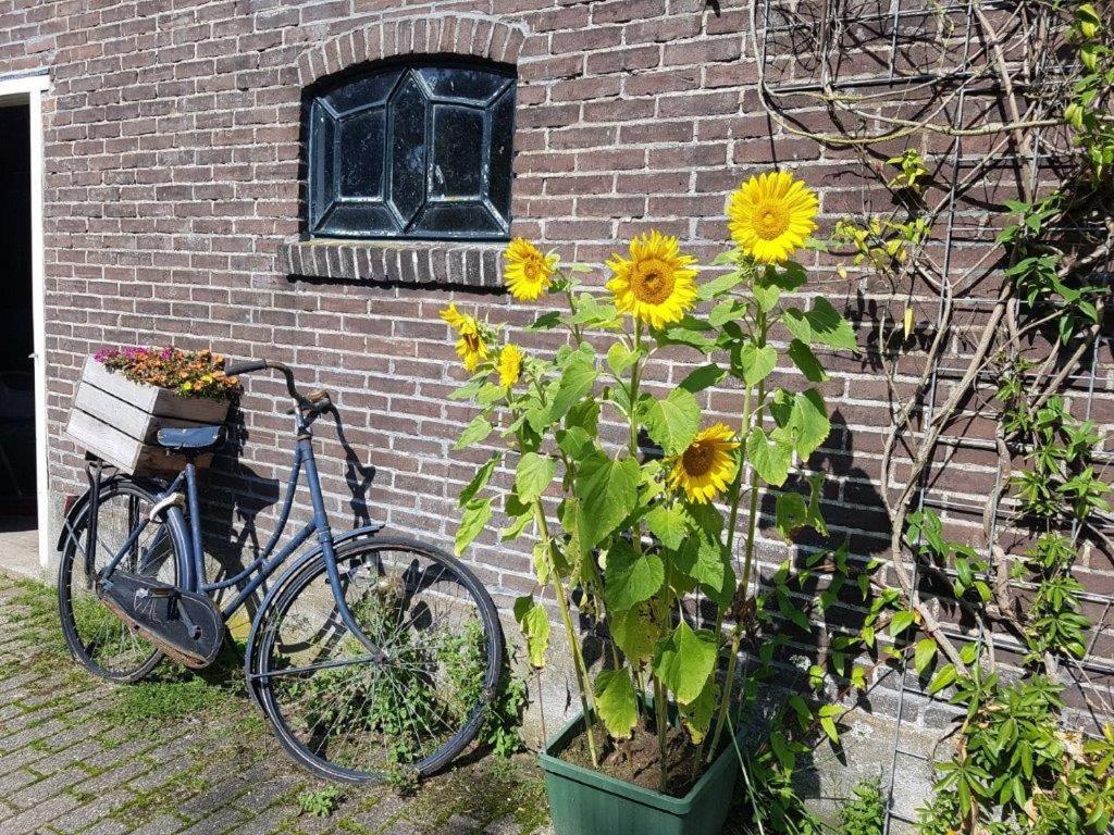 Het Voorhuis Boerderij Hoeve Vrede Best Weesp Exteriér fotografie